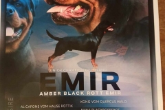 Amber Black Rott (FCI) EMIR. grafika  jpg