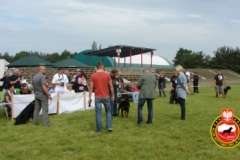 Krajowa wystawa rottweiler 2011 - niedziela