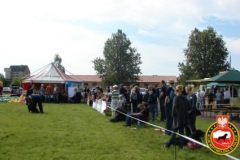 Krajowa wystawa rottweiler 2011 - niedziela
